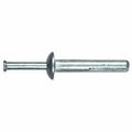 Totalturf 372057 0.25 x 1.25 in. Hammer Drive Anchor- Pack - 100 TO3239216